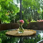 Johnis Fewo, Naehe Stadtzentrum - Uni In Sehr Ruhiger Lage Mit Terrasse Und Eigenem Parkplatz