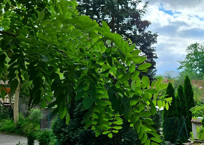 Johnis Fewo, Naehe Stadtzentrum - Uni In Sehr Ruhiger Lage Mit Terrasse Und Eigenem Parkplatz *